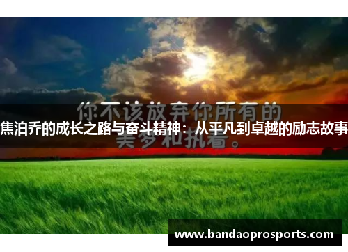 焦泊乔的成长之路与奋斗精神：从平凡到卓越的励志故事